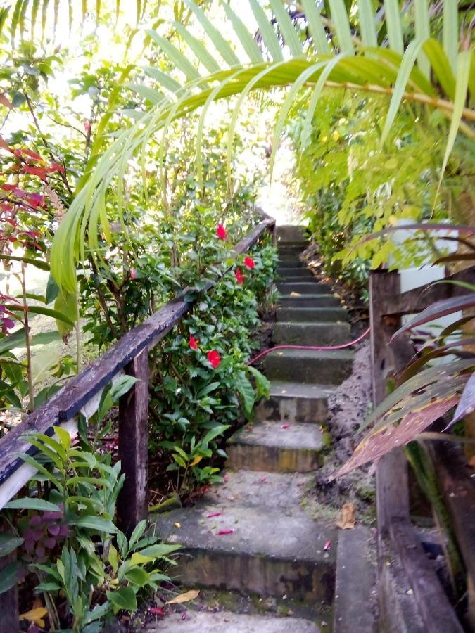 Island Home ホニアラ エクステリア 写真