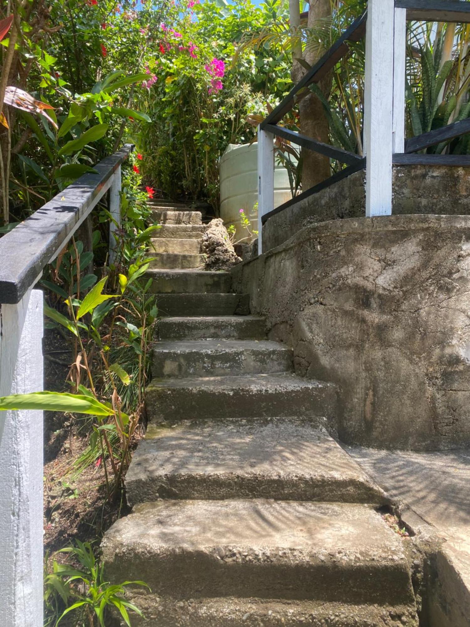 Island Home ホニアラ エクステリア 写真